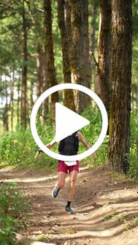 BIB:  <button type="button" onclick="openModal(27338782)" class="btn btn-primary btn-sm float-right" data-toggle="modal" data-target=".modal-high-quality">
                <i class="fa fa-download"></i> Download
                </button>